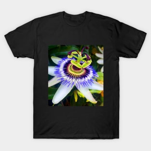 Purple Passionflower T-Shirt